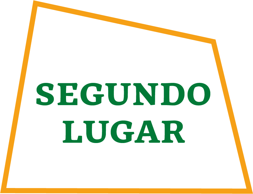 Segundo lugar